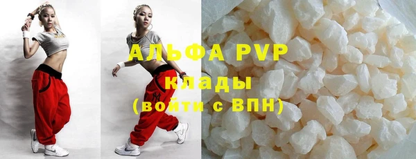 ПСИЛОЦИБИНОВЫЕ ГРИБЫ Верея