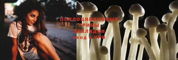 ПСИЛОЦИБИНОВЫЕ ГРИБЫ Верея