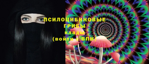 трава Верхнеуральск