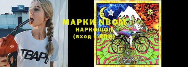 ПСИЛОЦИБИНОВЫЕ ГРИБЫ Верея