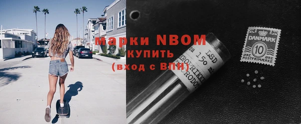 ПСИЛОЦИБИНОВЫЕ ГРИБЫ Верея